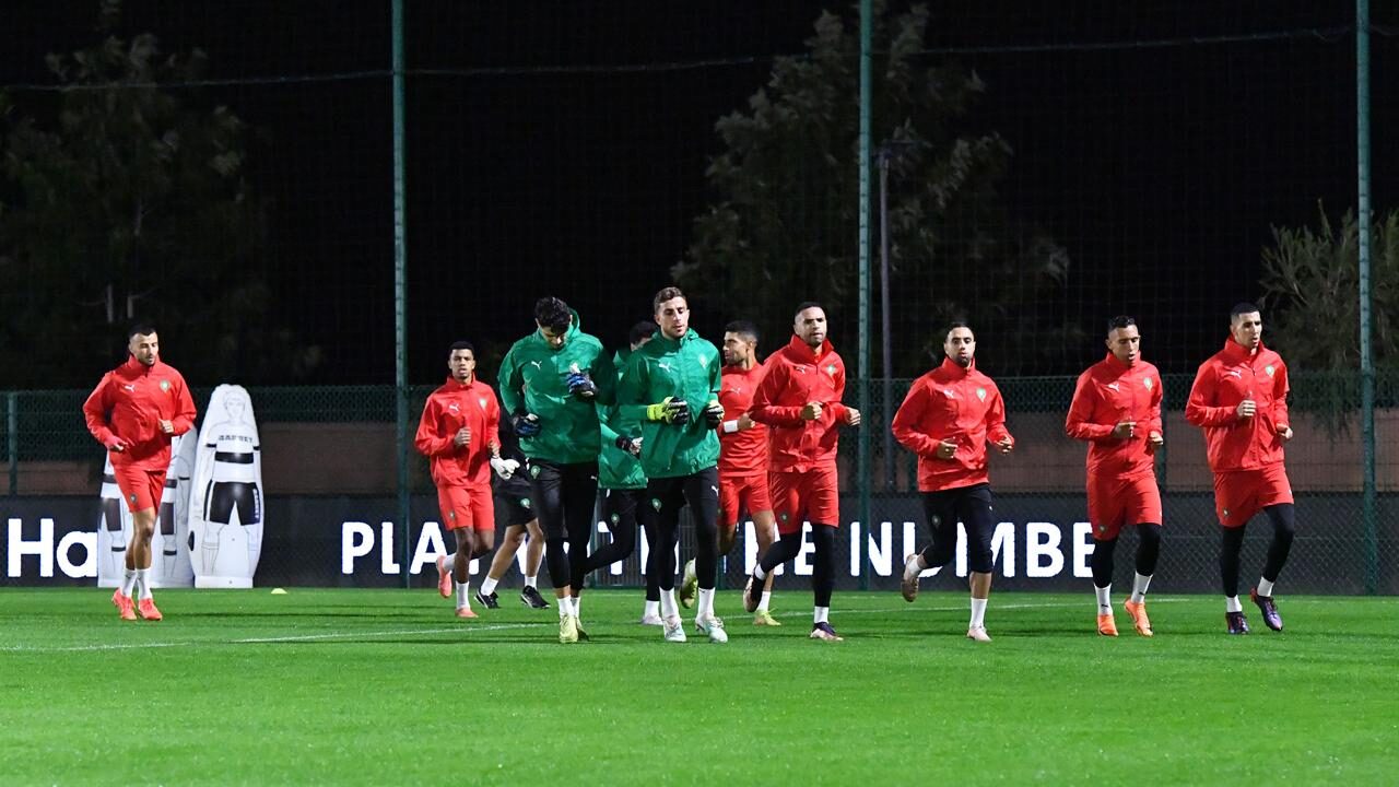 préparation lions de l'atlas 